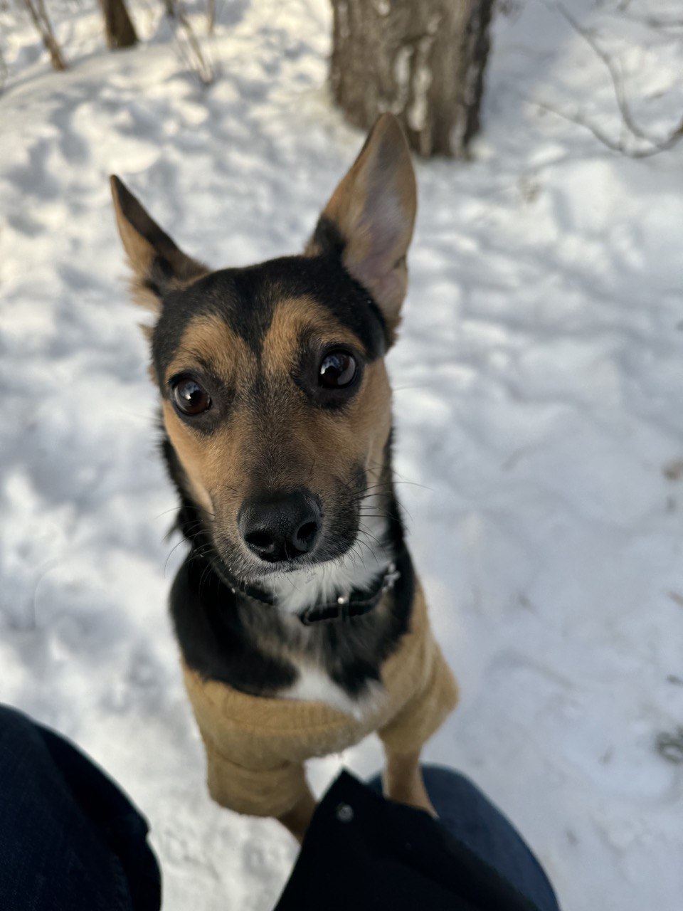 Sheldon outdoors in snow wearing a coat